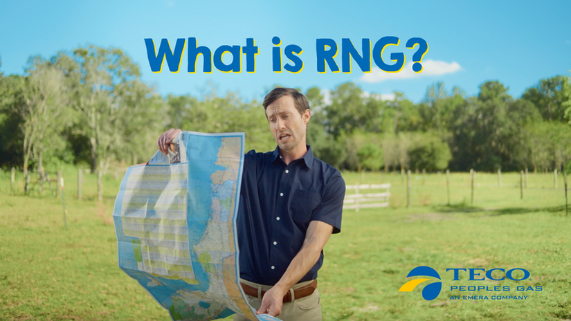 RNG 101: What Is RNG?